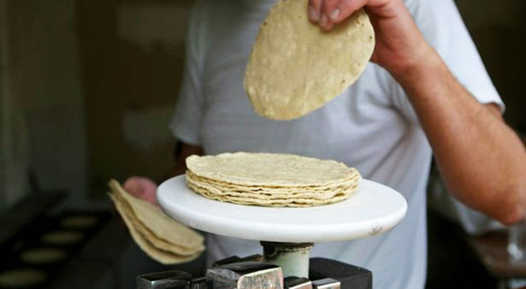 Implementarán programa de tortilla subsidiada